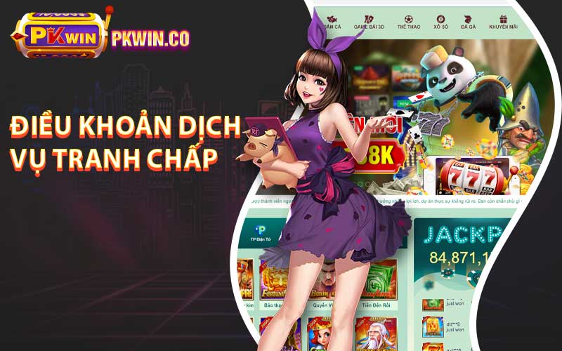 Điều khoản dịch vụ tranh chấp 